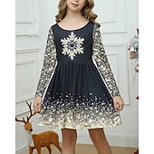 abordables Robe Vision Brillante 3D-FILLE 3D Motif de flocon de neige Robe manche longue Été Printemps Vacances Quotidien Fête Princesse Beau Doux Enfants 4-12 ans Robe Décontractée Robe trapèze Mi-long Coupe régulière