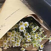 cheap Artificial Plants &amp; Flowers-26-Pack Artificial Chamomile Flowers, Realistic White Faux Wedding Bouquets, INS Style Floral Decor for Home, Office, Outdoor Garden, Wedding Arrangements, Wall and Fence Hanging, Arch Decorations, and Photography Props