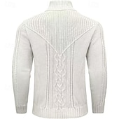 voordelige pullover voor heren-Voor heren Trui Gebreide trui Geribd breien Normale tops Gebreid Effen Opstaande boord Modieus Basic Vakantie Alledaagse kleding Kleding Herfst Winter Wijn Zwart S M L