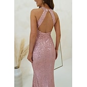 economico Abiti con paillettes-Per donna Abito Lungo Maxi Abito Abito con Paillettes Abito da Cocktail Abito Elegante Moda Moderno Festa serale Cocktail party Vestibilità regolare Semplice Senza Maniche All'americana Nero Rosa