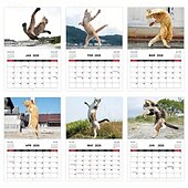 お買い得  家庭用品-2026年 怒った猫 カンフー猫カレンダー 面白い犬のうんちカレンダー ラミネート加工 月間プランナー 英語の日付付き 1月から12月まで 自宅やオフィスの装飾に最適 猫好きや犬好きの方に最適