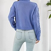 abordables Couleurs unies-Femmes Pull Occasionnel Couleur Unie Épais Col roulé Tricoté manche longue Hauts Réguliers Tricoter Quotidien Fête Sortir Jaune Bleu Automne Hiver