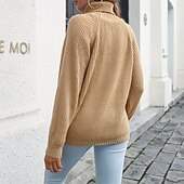 abordables Couleurs unies-Femmes Pull Occasionnel Couleur Unie Épais Col roulé Tricoté manche longue Hauts Réguliers Tricoter Quotidien Fête Sortir Noir Jaune Automne Hiver