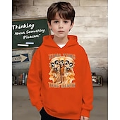 billiga Pojkens 3D Sporter &amp; Spel-Pojkars casual hoodie med tung tung tung saur roligt abstrakt tryck 3D-grafik hoodie långärmad vår höst mode streetwear barn 4-12 år huva utomhus casual daglig normal passform