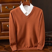 billiga tröja för män-Herr Pullover tröja Stickad tröja Ribbad Sticka Vanliga toppar Stickat Slät V-hals Mode Grundläggande Semester Dagliga kläder Kläder Höst Vinter Kamel Vin S M L