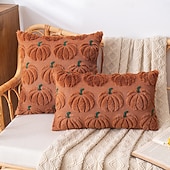 cheap Throw Pillows,Inserts &amp; Covers-1 pcs Halloween Toss Pillow Cover, Pumpkin Boho Casual Square Zipper Traditional Classic