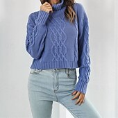 abordables Couleurs unies-Femmes Pull Occasionnel Couleur Unie Épais Col roulé Tricoté manche longue Hauts Réguliers Tricoter Quotidien Fête Sortir Jaune Bleu Automne Hiver