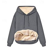 preiswerte Fleece-futterierte Sweatshirts-Damen Kapuzenpullover Einfach Lässig Langarm Mit Kapuze Normale Oberteile Straße Ferien Ausgehen Patchwork Schwarz Wein Hell Gray Dunkelgray Herbst Winter