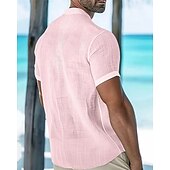 economico Camicie Popover da Uomo-Per uomo Camicia Camicia popover Camicia Estiva Camicia casual Camicia da Spiaggia Bianco Rosa Azzurro cielo Manica Corta Semplice Colletto alla coreana Vacanza Camicia hawaiana Tasca Abbigliamento