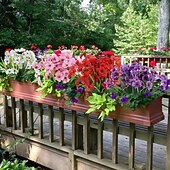 levne Umělé rostliny a květiny-12 kusů umělých květin slunečnic a fialek pro venkovní použití, UV odolné a neblednoucí, smíšené barvy, umělé květiny pro zahradu, svatbu, svátky, bytové dekorace, dekorace do závěsných košíků a na