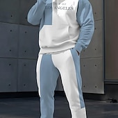 お買い得  メンズ3Dスウェットシャツセット-男性用 カラーブロック 2個 3Dスウェットシャツセット トラックスーツ フーディースウェットシャツ 長袖 長ズボン フード付き カジュアル 普段着 アスレイジャー 3Dプリント 春 秋 冬 ホワイト