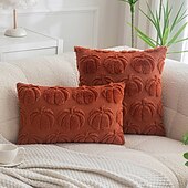abordables Coussins, inserts et housses-1 housse de coussin d&#039;Halloween, motif citrouille de Thanksgiving, style bohème décontracté, fermeture éclair carrée, classique et traditionnel