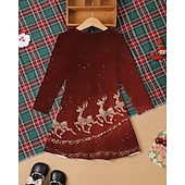 halpa 3D Shining Vision -mekko-joulu Tyttöjen 3D Hirvi Lumihiutale Mekko Pitkähihainen Kesä Kevät Loma Päivittäin Pyhäpäivä Prinsessa Kaunis Makea Lapset 4-12 vuotta Rento mekko A linjainen mekko Polvipituinen Normaali