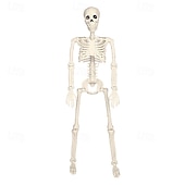 economico Halloween all&#039;Aperto-1 pezzo da 90 cm/35 pollici di Halloween, modello di scheletro luminoso attivo con articolazioni, appeso in piedi, seduto, sdraiato, luce calda, scatola per batterie AA, luci decorative horror e