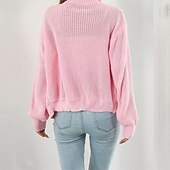 Női Kardigán Alkalmi Tömör szín Vaskos Körgallér Cipzár Kötött Hosszú ujj Normál felsők Kötött Napi Szabadság Alkalmi Fekete Arcpír rózsaszín Ősz Tél olcso Szilárd színek-Női Kardigán Alkalmi Tömör szín Vaskos Körgallér Cipzár Kötött Hosszú ujj Normál felsők Kötött Napi Szabadság Alkalmi Fekete Arcpír rózsaszín Ősz Tél