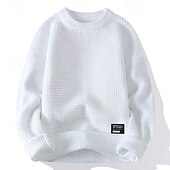 billige genser for menn-Herre Pullover genser Strikket genser Riflet Strikke Vanlige topper Strikket عادي Crew-hals Mote Grunnleggende Feriereise Dagligdagstøy Klær Høst Vinter Svart Hvit M L XL