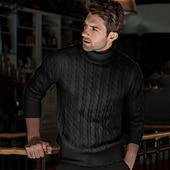 economico maglione pullover da uomo-Per uomo Maglione Maglione a maglia A Coste Treccia Maglia Top Regolari Lavorato a maglia Semplice Dolcevita Moda Casual Vacanza Abbigliamento quotidiano Abbigliamento Autunno &amp; Inverno Cammello