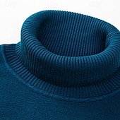 billige genser for menn-Herre Turtleneck genser Pullover genser Julegenser Riflet Strikke Vanlige topper Strikket عادي Rullekrage Hold Varm Moderne Moderne Dagligdagstøy Ut på byen Klær Høst Vinter Kamel Svart S M L