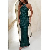 economico Abiti con paillettes-Per donna Abito Lungo Maxi Abito Abito con Paillettes Abito da Cocktail Abito Elegante Moda Moderno Festa serale Cocktail party Vestibilità regolare Semplice Senza Maniche All'americana Nero Rosa