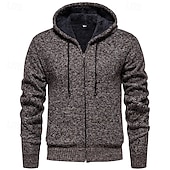 abordables suéter de la rebeca de los hombres-Hombre Chaqueta de Punto Suéter recortado Jersey con cremallera Suéter de punto Estriado Tejer Tops regulares Bolsillo Vellón Plano Con Capucha Moda Clásico Vacaciones Ropa Cotidiana Ropa Otoño