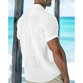 economico Camicie Popover da Uomo-Per uomo Camicia Camicia popover Camicia Estiva Camicia casual Camicia da Spiaggia Bianco Rosa Azzurro cielo Manica Corta Semplice Colletto alla coreana Vacanza Camicia hawaiana Tasca Abbigliamento
