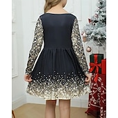 abordables Robe Vision Brillante 3D-FILLE 3D Motif de flocon de neige Robe manche longue Été Printemps Vacances Quotidien Fête Princesse Beau Doux Enfants 4-12 ans Robe Décontractée Robe trapèze Mi-long Coupe régulière