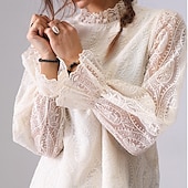 preiswerte Spitzenoberteile-Damen Spitzenbluse Einfarbig Elegant Bohemien Vintage Langarm Hoher Ausschnitt Normale Oberteile Party-Abendmode Ausgehen Strandbekleidung Bestickt Schwarz Weiß Aprikose Frühling, Herbst, Winter