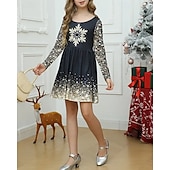 abordables Robe Vision Brillante 3D-FILLE 3D Motif de flocon de neige Robe manche longue Été Printemps Vacances Quotidien Fête Princesse Beau Doux Enfants 4-12 ans Robe Décontractée Robe trapèze Mi-long Coupe régulière
