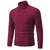 billiga tröja för män-Herr Pullover tröja Stickad tröja Ribbad Sticka Vanliga toppar Stickat Slät Polokrage Mode Grundläggande Semester Dagliga kläder Kläder Höst Vinter Vin Svart S M L