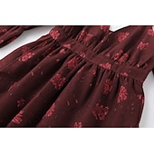 ieftine Rochii Boho-Pentru femei Rochie Mini Rochie florala Rochie Boho Rochie imprimata Rochie occidentală Clasic Modern În aer liber Vacanță Concediu Fit regulat Floare Manșon scurt În V Roșu Vin Vară