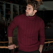 economico maglione pullover da uomo-Per uomo Maglione Maglione a maglia A Coste Treccia Maglia Top Regolari Lavorato a maglia Semplice Dolcevita Moda Casual Vacanza Abbigliamento quotidiano Abbigliamento Autunno &amp; Inverno Cammello
