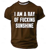 abordables T-shirts amusants pour hommes-T-shirt graphique drôle pour hommes &#039;JE SUIS UN RAYON DE SOLEIL DE MERDE&#039; Citation sarcastique à manches courtes