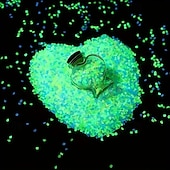 economico Forniture per eventi e feste-20000 pezzi di ciottoli di resina luminescenti al buio, ghiaia decorativa durevole per giardino, vialetto, acquario, decorazione per feste all'aperto e al chiuso