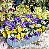 cheap Artificial Plants &amp; Flowers-6 Bundles Artificial Pansy Flowers for Outdoor Indoor Use, Weather Resistant Fake Plastic Plants for Garden, Home Decor, White Purple Yellow