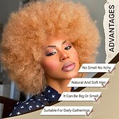 economico Parrucche storiche-Parrucche afro per donne nere, parrucca afro riccia crespa anni &#039;70 con frangia, parrucche soffici ed enormi, capelli sintetici per cosplay quotidiani e feste, 14 pollici