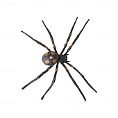 abordables Halloween intérieur-Lot de 2 araignées lumineuses et 2 globes oculaires lumineux pour Halloween, décoration d&#039;ambiance de fête intérieure, lumière d&#039;ornement, lumière d&#039;horreur et d&#039;atmosphère étrange
