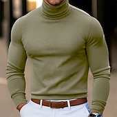 preiswerte Basic-T-Shirts-Herren T-Shirt Langarmshirt Falscher Rollkragen Langarm Rollkragen Stapelhals Herbst Winter Frühling &amp; Herbst Einfarbig Täglich Lässig Streetstyle Stehkragen Rein Formell Outdoor Straße Hellblau