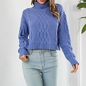abordables Couleurs unies-Femmes Pull Occasionnel Couleur Unie Épais Col roulé Tricoté manche longue Hauts Réguliers Tricoter Quotidien Fête Sortir Jaune Bleu Automne Hiver