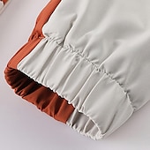 preiswerte Sportjacke-Herren Outdoorjacke Freizeitjacke Urlaub Täglich Winddicht Warm Tasche Herbst Winter Farbblock Buchstabe Mode Klassisch Mit Kapuze Regulär Weiß Dunkelgray Jacken
