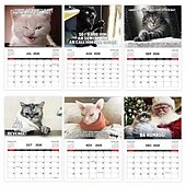 お買い得  家庭用品-2026年 怒った猫 カンフー猫カレンダー 面白い犬のうんちカレンダー ラミネート加工 月間プランナー 英語の日付付き 1月から12月まで 自宅やオフィスの装飾に最適 猫好きや犬好きの方に最適