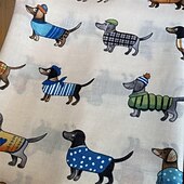 economico Scialli e stole da donna-Per donna Sciarpa rettangolare Streetwear Quotidiano Data Nero Bianco Blu Sciarpa Animale