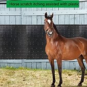 cheap Animal Support &amp; Care-Equine &amp; Bovine Massage Brush Kit - Soft Touch Itch Post Pad- Animal Scratchers for Safe and Satisfying Itch Relief- 2pcs