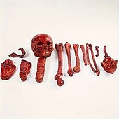 お買い得  ハロウィン-乾燥したスケルトンの骨14個セット、ハロウィーンの国境を越えたスケルトンの飾り、バーの脱出ゲーム、ホラーの装飾小道具、散らばった骨