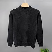 Χαμηλού Κόστους ανδρικό πουλόβερ πουλόβερ-Ανδρικά Πουλόβερ πουλόβερ Πλεκτό πουλόβερ Κοτλέ Πλέκω Κανονικά μπλουζάκια Πλεκτό Φλις Σκέτο Στρογγυλή Ψηλή Λαιμόκοψη Μοντέρνα Βασικό Διακοπές Καθημερινά Ρούχα Ρούχα Φθινόπωρο Χειμώνας