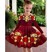 halpa 3D-kukkamekko-Tyttöjen 3D Kukka Mekko Pitkähihainen Kesä Kevät Loma Päivittäin Pyhäpäivä Prinsessa Kaunis Makea Lapset 4-12 vuotta Rento mekko A linjainen mekko Polvipituinen Normaali