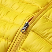 economico Giacca in piuma e parka per ragazzi-Da ragazzo 3D Liscio Cappotto Manica lunga Inverno Attivo Fantastico Poliestere Bambino 3-13 anni Sport Standard