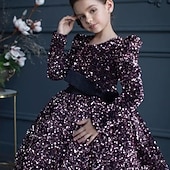 preiswerte Halloweenkostüme für Mädchen-Kinder Mädchen Partykleid Einfarbig Langarm Leistung Netz Prinzessin Süß Netzstoff Knöchellang Etui-Kleid Tüllkleid Sommer Frühling Herbst Kinder Schwarz Weiß Wein