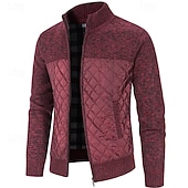 preiswerte Herren Strickjacke-Herren Pullover Kleid Pullover Strickjacke Reißverschluss-Pullover Strickpullover Gerippt Stricken Normale Oberteile Gestrickt Gerippt Einfach Stehkragen Mode Schals Geschäft Lässig Bekleidung Herbst