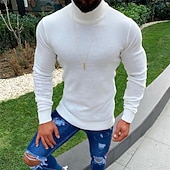 preiswerte Herrenpullover-Herren Pullover Strickpullover Gerippt Stricken Normale Oberteile Gestrickt Einfach Rollkragen Mode Basic Urlaub Alltagskleidung Bekleidung Herbst Winter Beige S M L