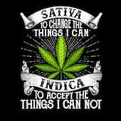  T-shirt grafica per uomo citazione divertente della foglia di cannabis Sativa Indica parodia della preghiera della serenità a manica corta